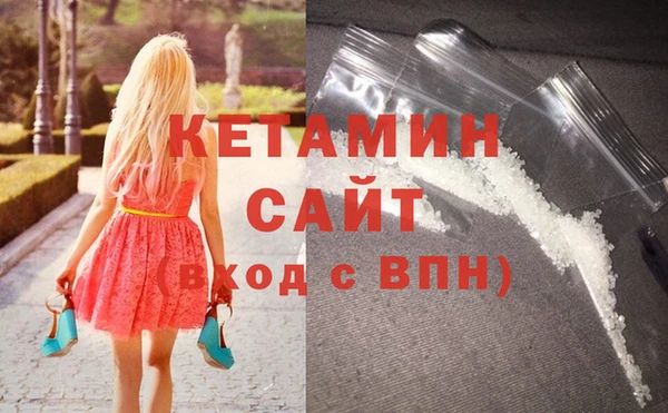 стаф Аркадак