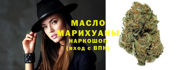 стаф Аркадак