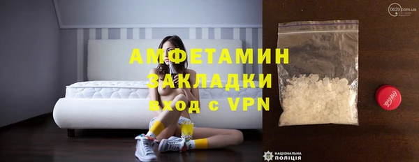 стаф Аркадак