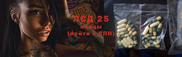 стаф Аркадак