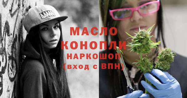 стаф Аркадак