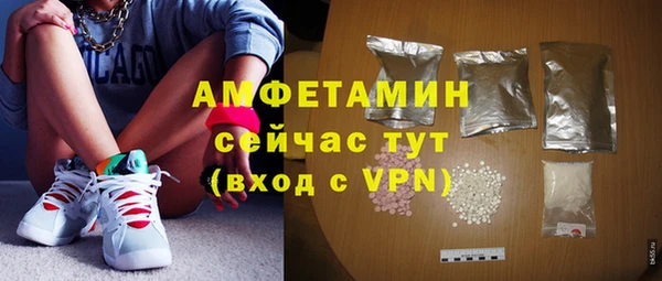 стаф Аркадак